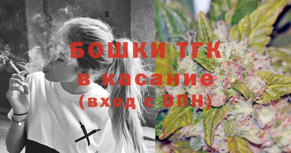 тгк Алзамай