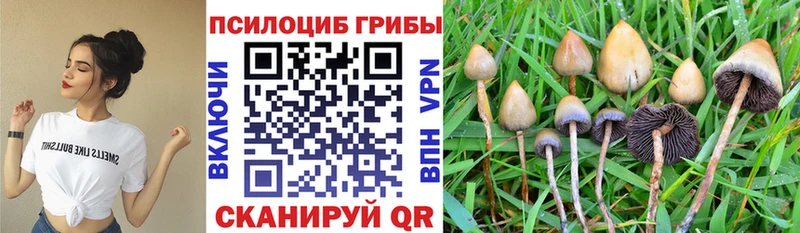 Псилоцибиновые грибы прущие грибы Чусовой